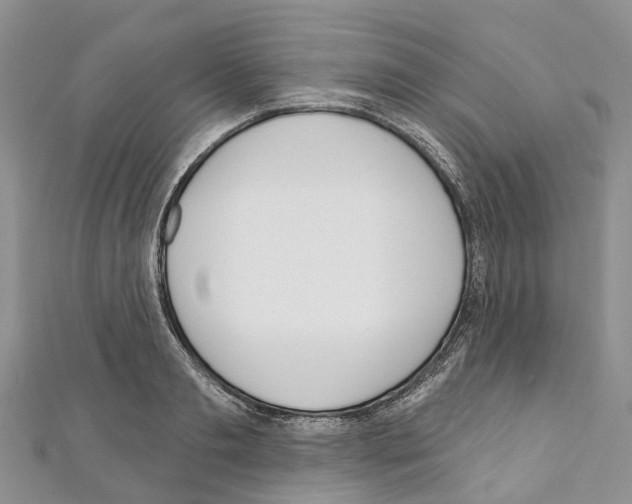 X0000110720893200907241204