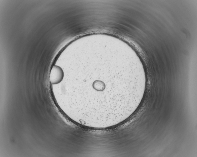 X0000110720894200907241204