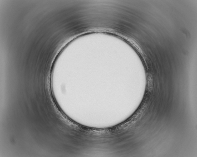 X0000110720895200907241204