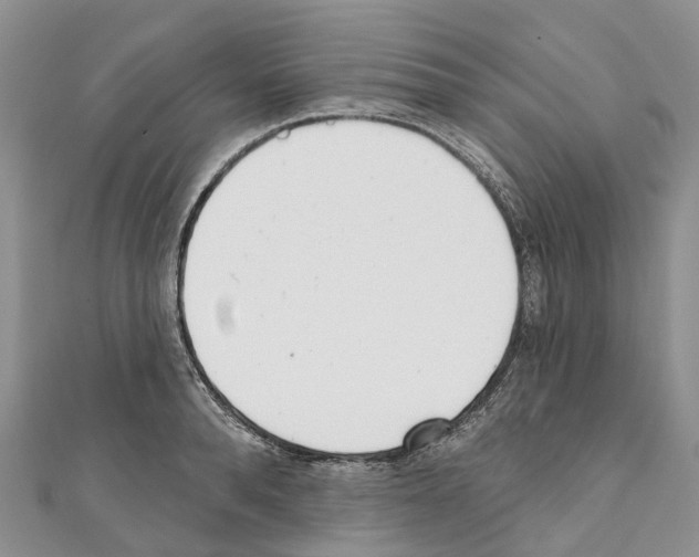 X0000110720896200907241204