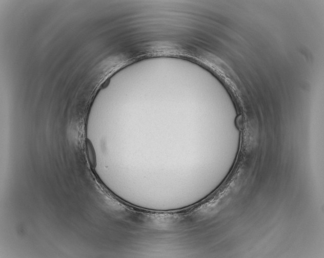 X0000110720897200907241204