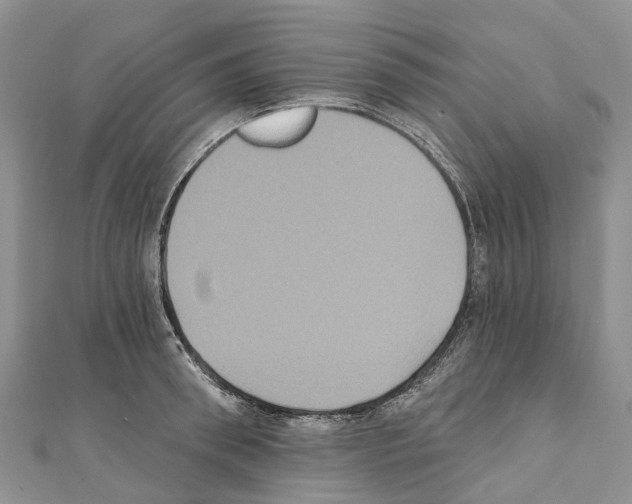 X0000110720898200907241204