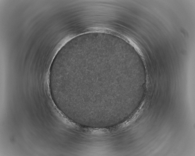 X0000110720899200907241204