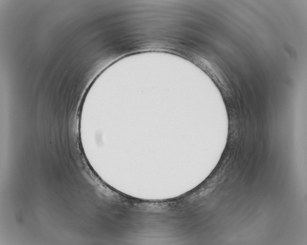 X0000110720900200907241204