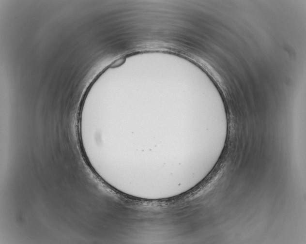 X0000110720901200907241204