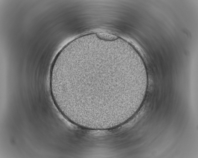 X0000110720902200907241204