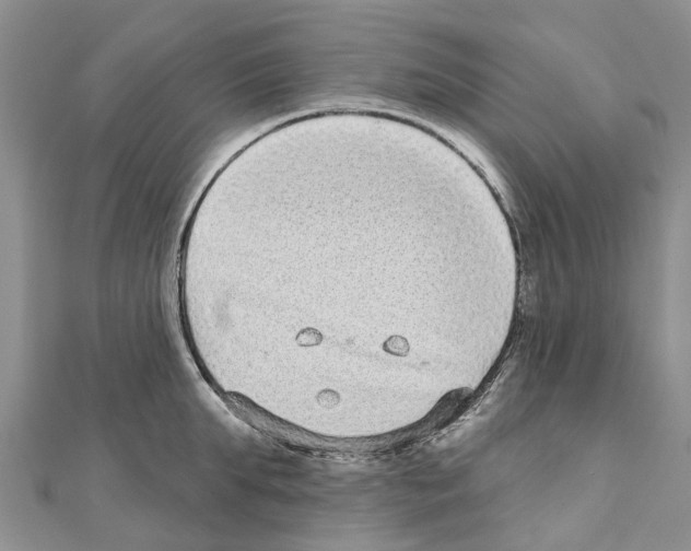 X0000110720903200907241204