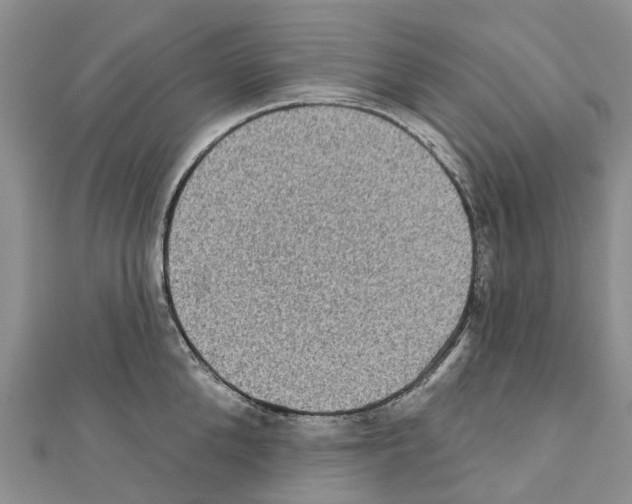 X0000110720904200907241204