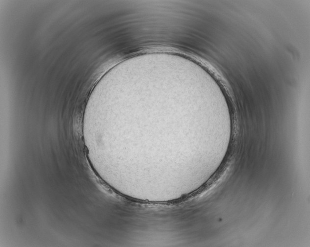 X0000110720905200907241204