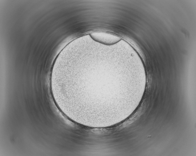 X0000110720906200907241204