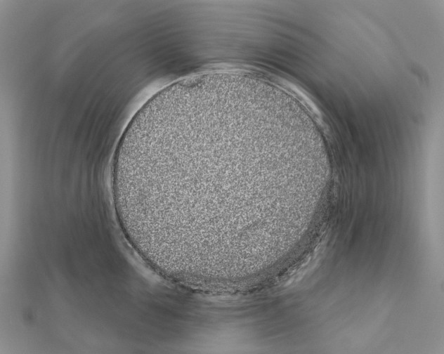 X0000110720907200907241204