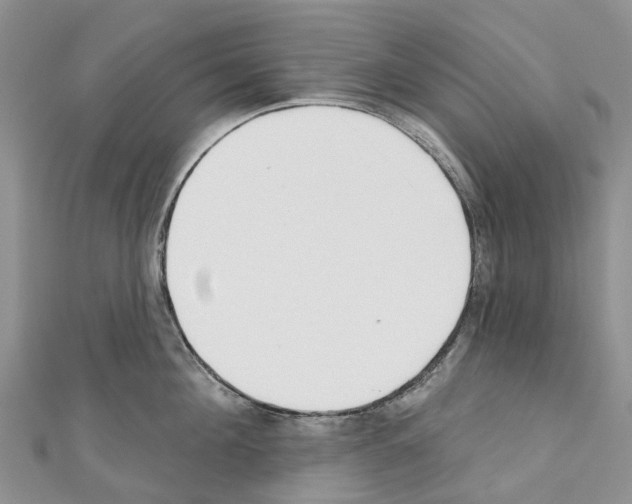 X0000110720908200907241204