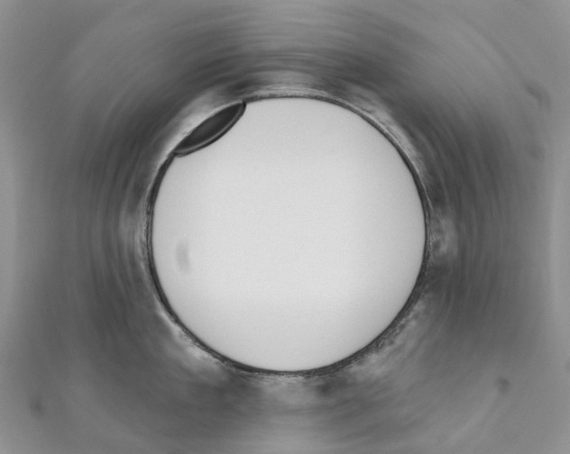 X0000110720909200907241204