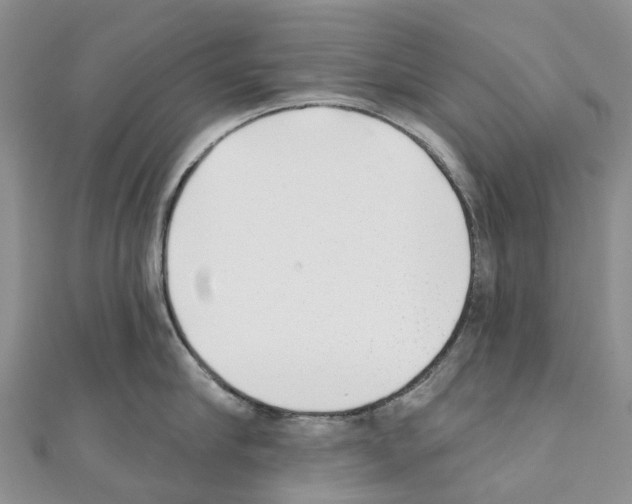 X0000110720910200907241204