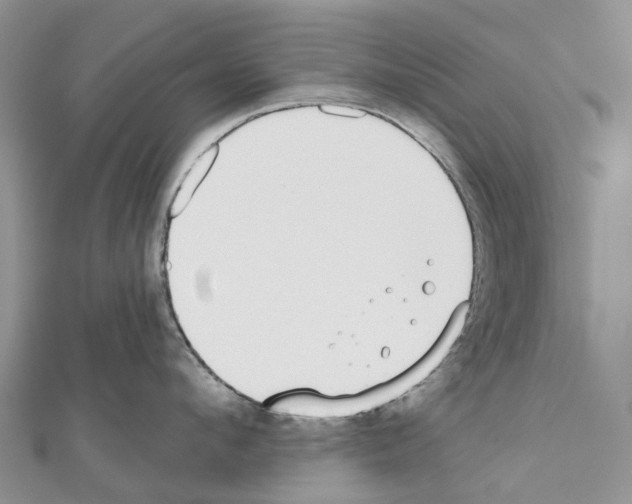 X0000110720912200907241204