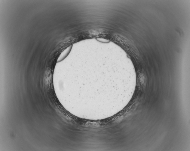 X0000110720914200907241203