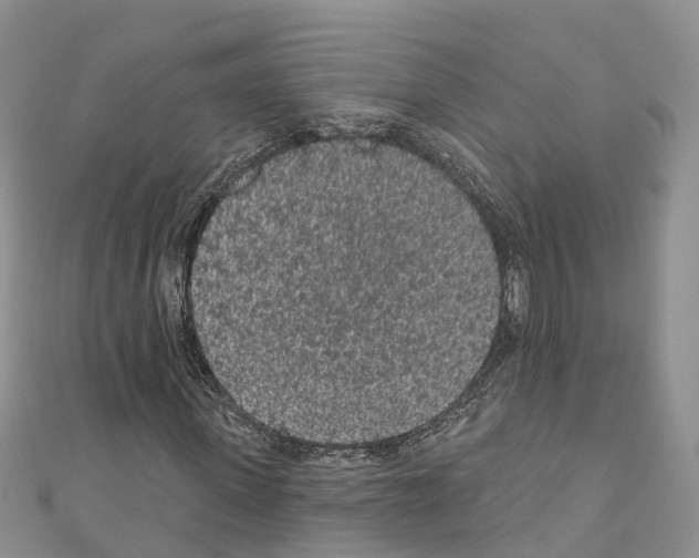 X0000110720915200907241203