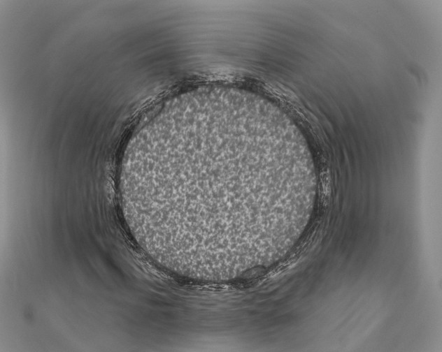 X0000110720916200907241203