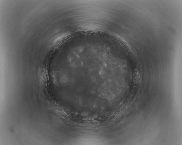 X0000110720918200907241203