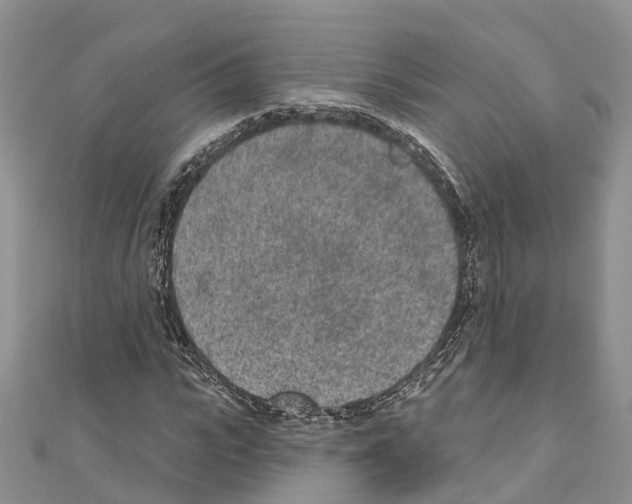 X0000110720919200907241203