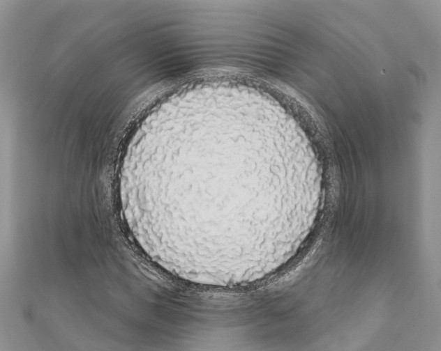 X0000110720921200907241203