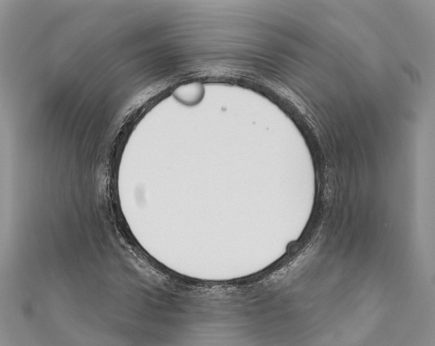 X0000110720922200907241203