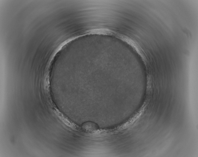 X0000110720923200907241203