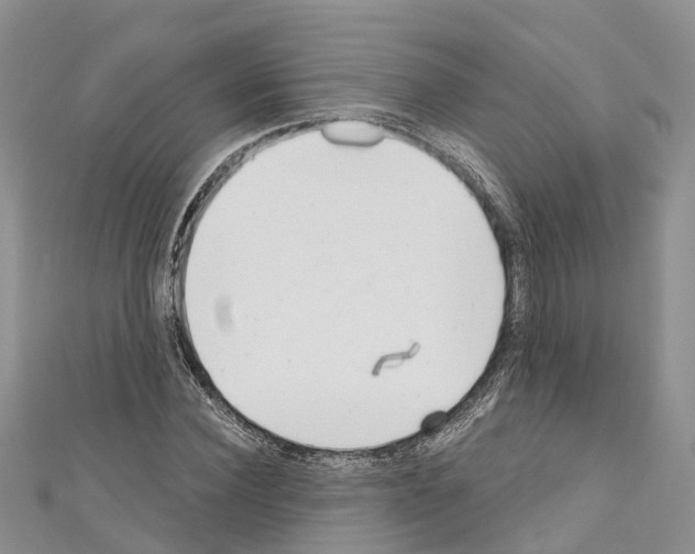 X0000110720924200907241203