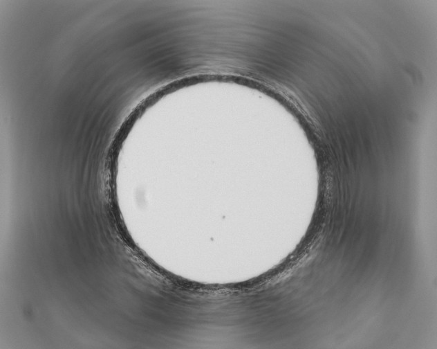 X0000110720926200907241203