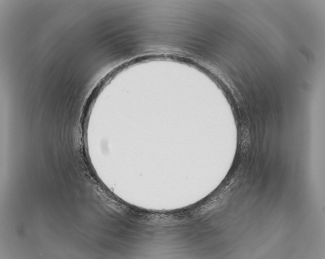 X0000110720927200907241204