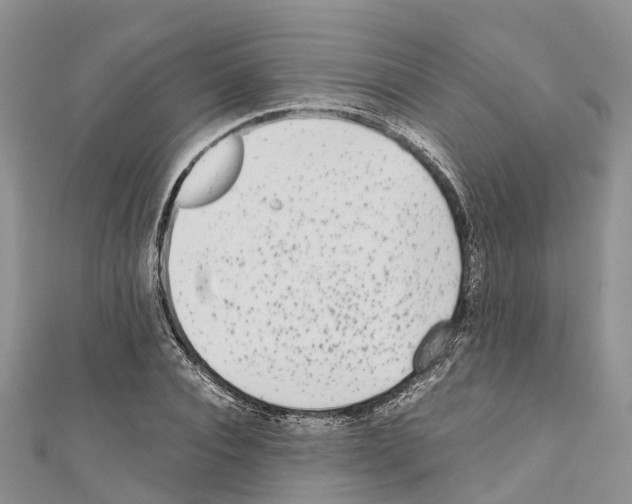 X0000110720928200907241204