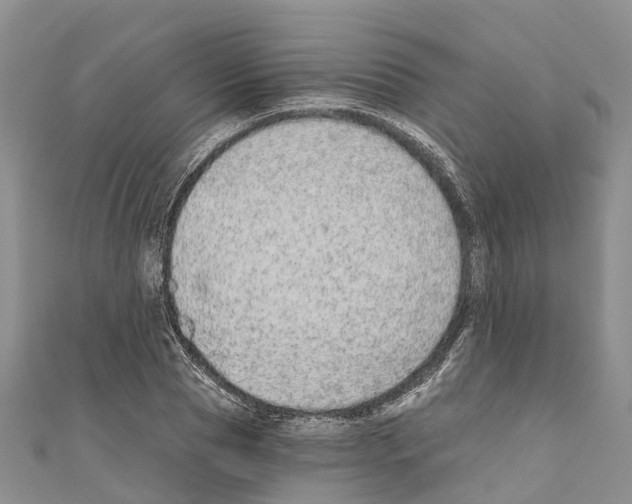 X0000110720929200907241204