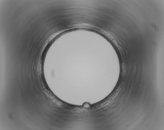 X0000110720931200907241204