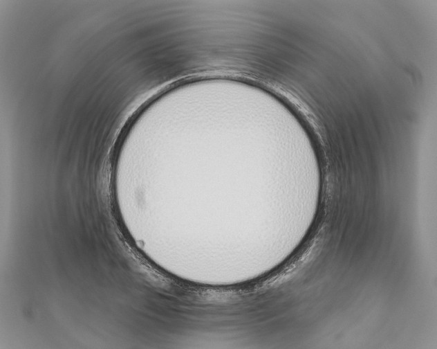 X0000110720933200907241204