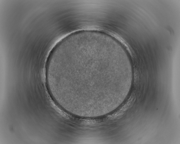 X0000110720935200907241204