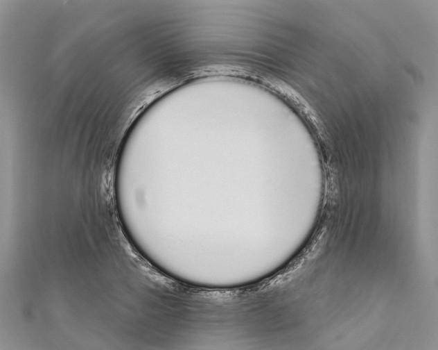 X0000110720937200907241204