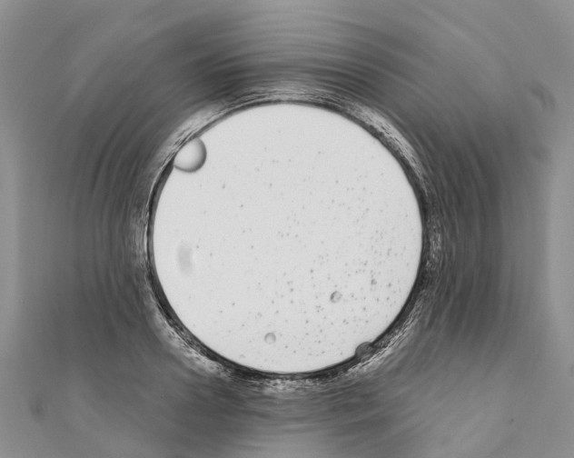 X0000110720938200907241204