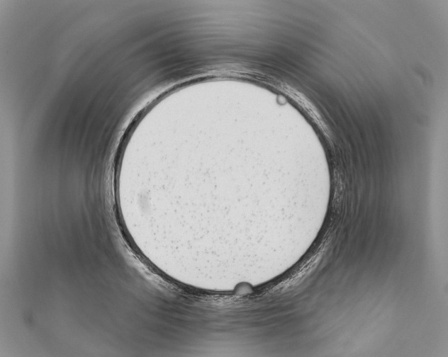 X0000110720939200907241204