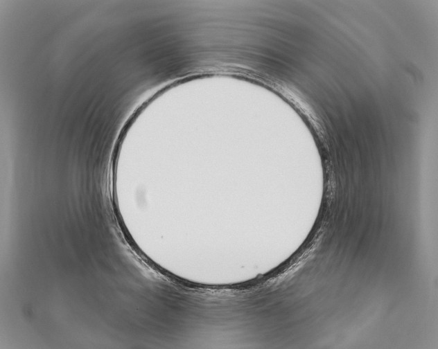 X0000110720940200907241204