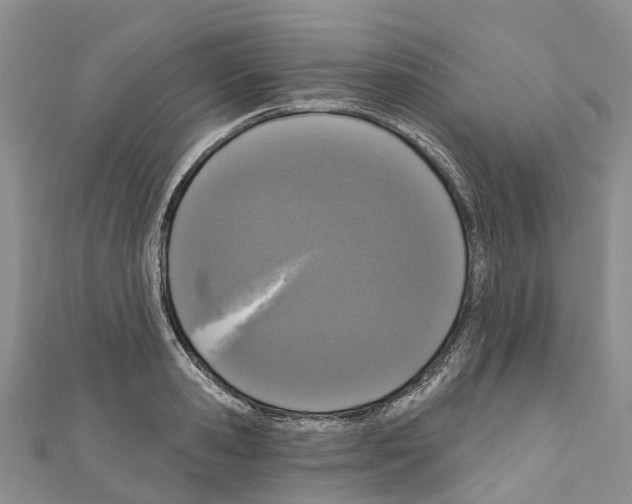 X0000110720941200907241204