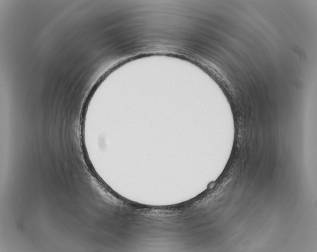 X0000110720942200907241204