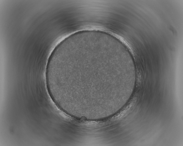 X0000110720943200907241204