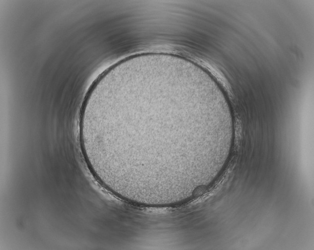 X0000110720944200907241204