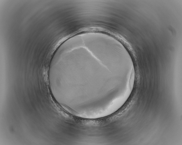 X0000110720945200907241204