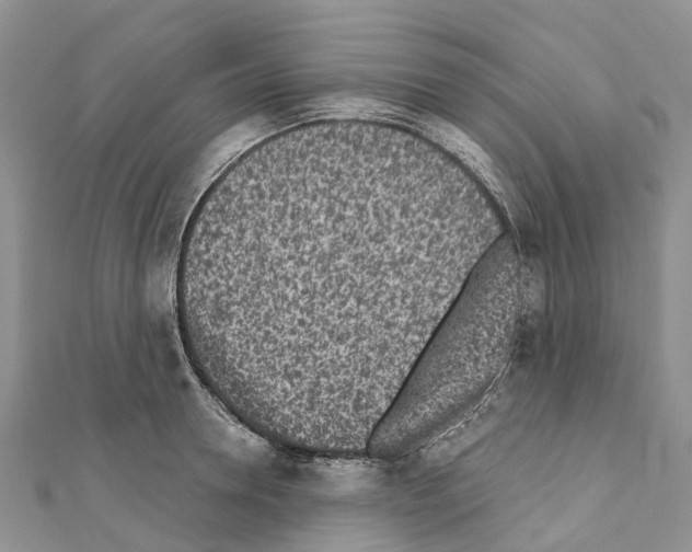 X0000110720946200907241204