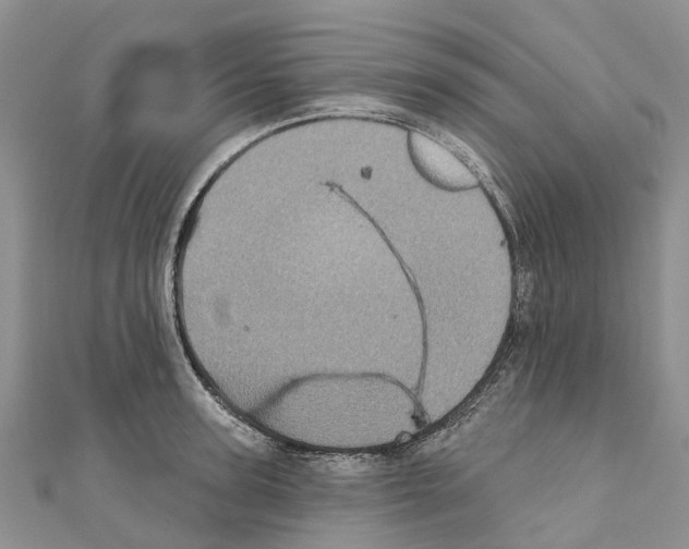 X0000110720947200907241204