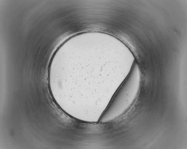 X0000110720948200907241204