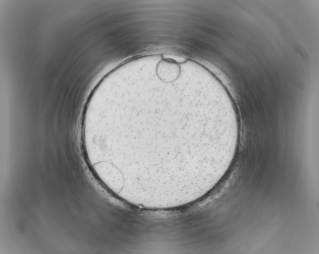 X0000110720949200907241204