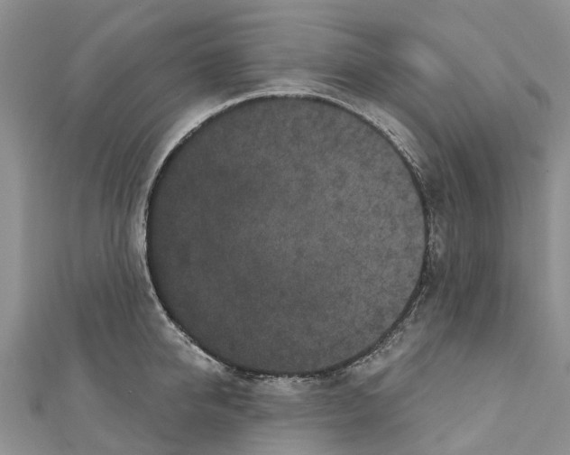 X0000110720950200907241204