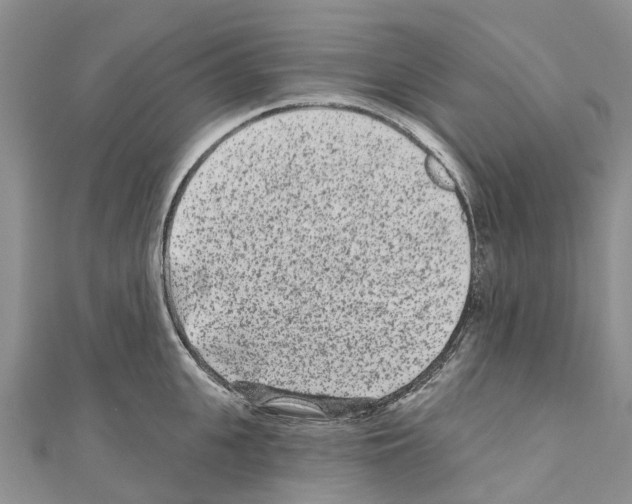 X0000110720951200907241204